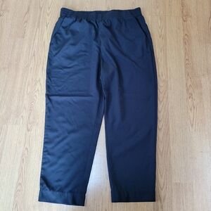 Everlane The Italian GoWeave Easy Pant Wool Black Pull On